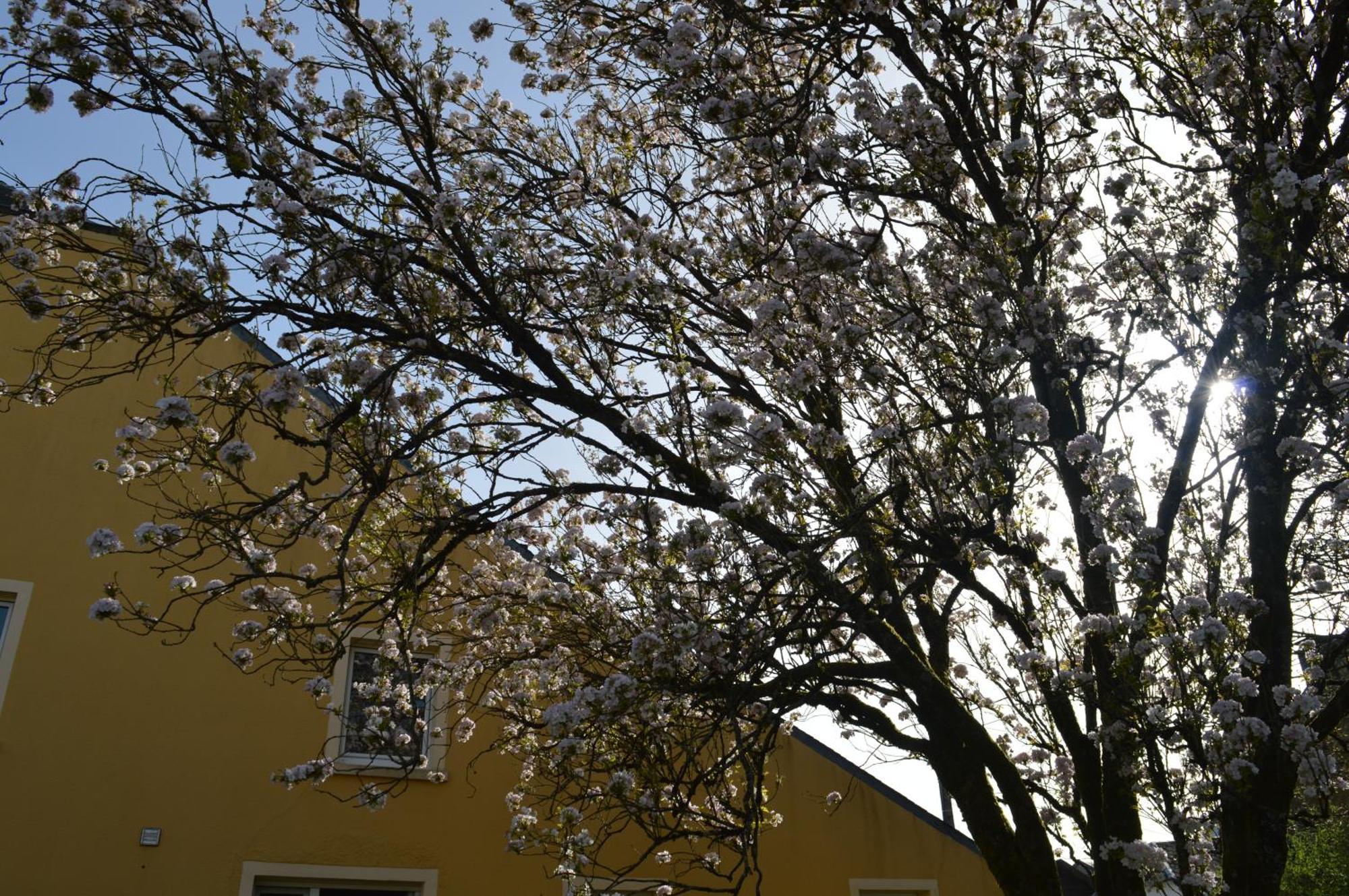 Chez Nous Villa Chiny Eksteriør billede